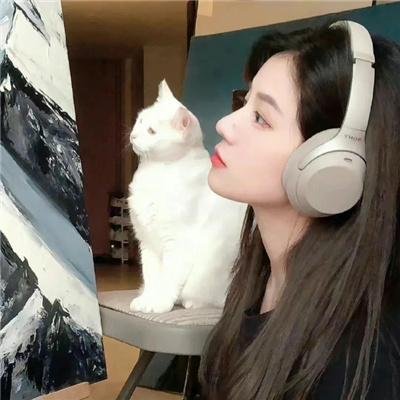 看见台湾
